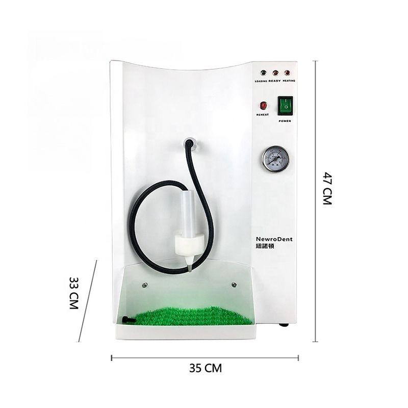 Single Pen Steam Cleaner